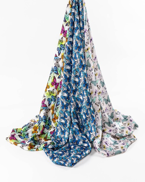 Rainbow Morpho (PLC-1275) Image 4