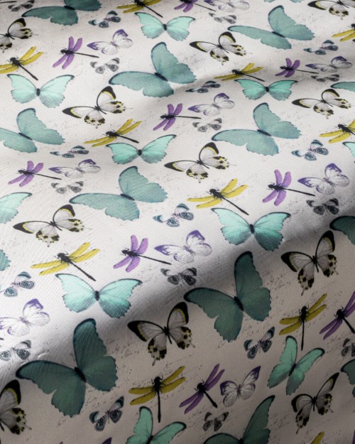 Papillon (PLC-1377) Image 1