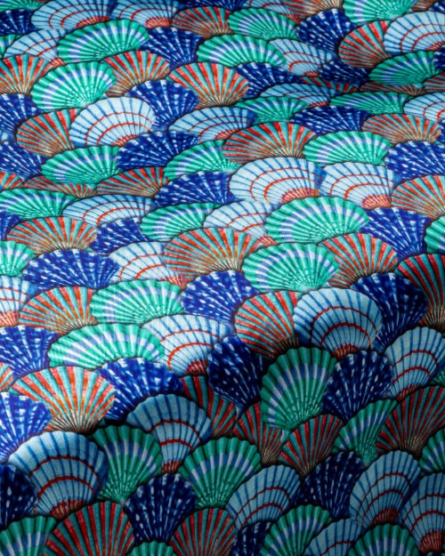 Seashells (PLC-1312) Image 1