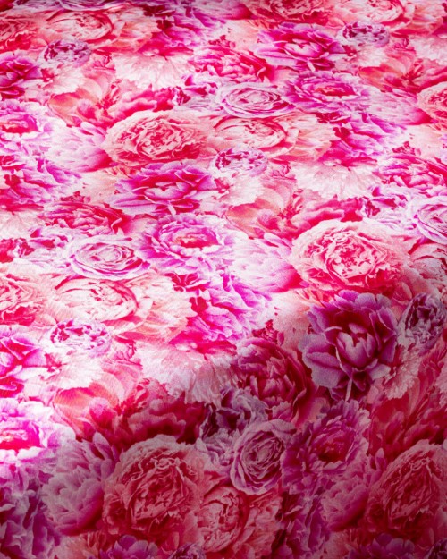 Peonies (PLC-1348) Image 1