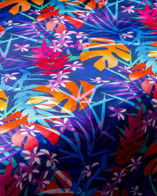 Tropical Plants (PLC-1397) Image 1