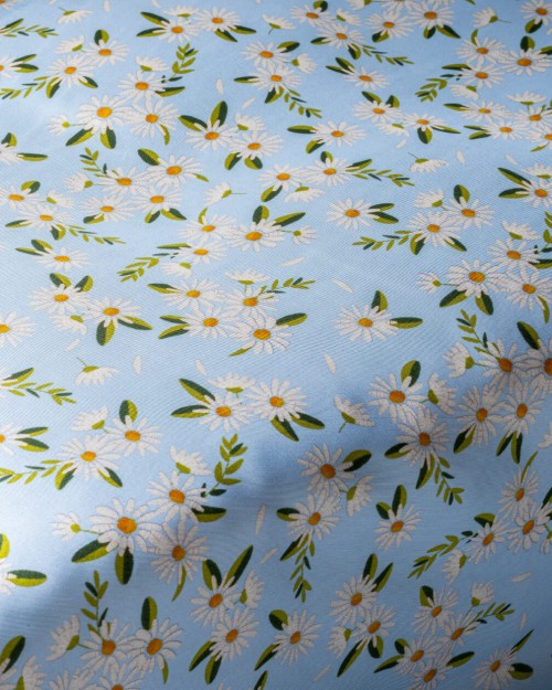 Blue Daisies (PLC-1284) Image 1