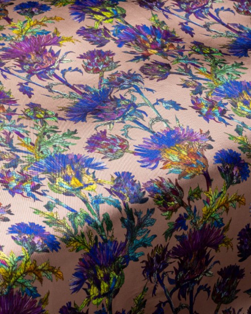 Thistles (PLC-1285) Image 1