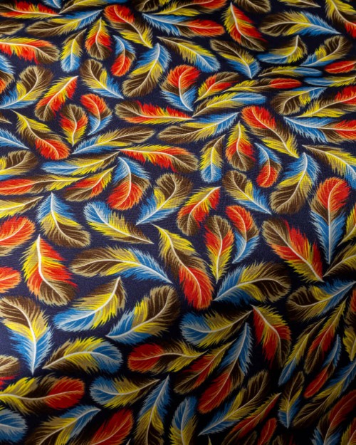 Feathers (PLC-1286) Image 1
