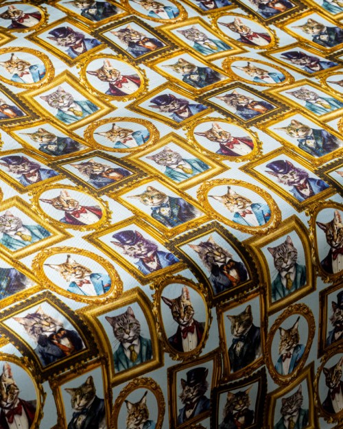 Cat Suits (PLC-1271) Image 1