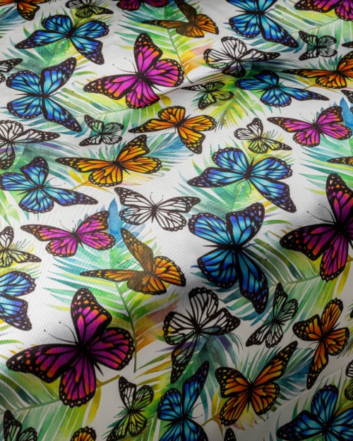 Rainbow Morpho (PLC-1275) Image 1