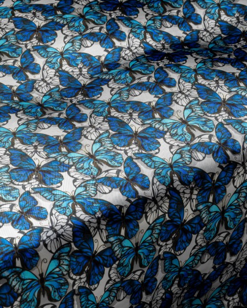 Blue Morpho (PLC-1276) Image 1